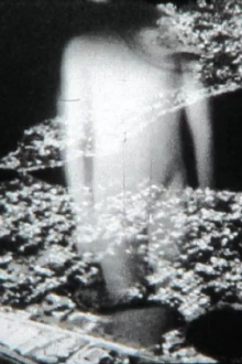 Conjectures Trailer