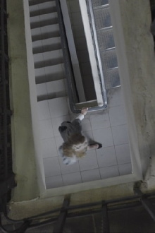Consequences Of Any Kind Trailer