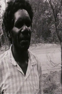 Conversations with Dundiwuy Wanambi Trailer