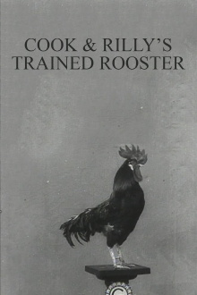 Cook & Rilly's Trained Rooster Trailer