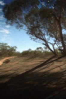 Coorow-Latham Road Trailer