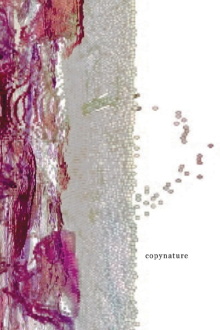 copynature Trailer