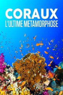 Corals, the ultimate metamorphosis Trailer