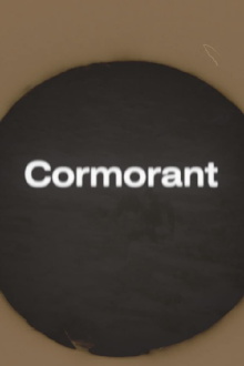 Cormorant Trailer