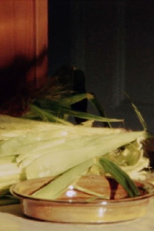 Corn Trailer