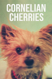 Cornelian Cherries Trailer