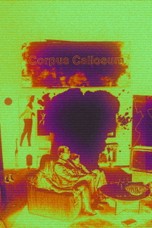*Corpus Callosum Trailer