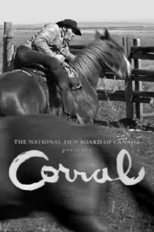 Corral Trailer