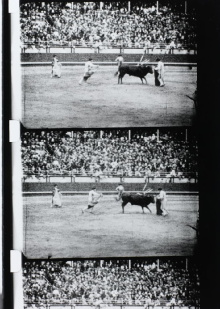 Corrida Trailer