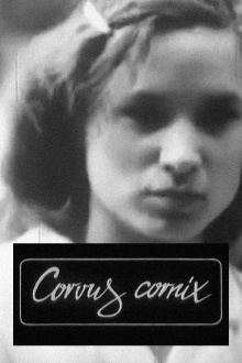 Corvus Cornix - From Latin as Raven Trailer