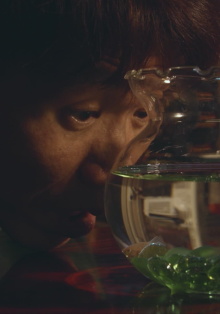 Corydoras Trailer