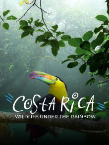 Costa Rica: Wildlife Under The Rainbow Trailer