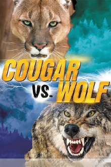Cougar v. Wolf Trailer