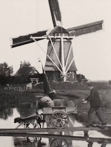Countryside Near Amsterdam Trailer
