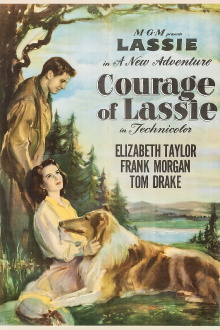 Courage of Lassie Trailer