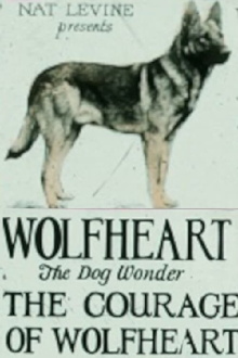 Courage of Wolfheart Trailer