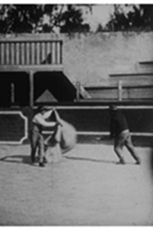 Course de taureaux : école de tauromachie Trailer