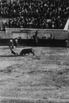 Course de taureaux : passements de manteaux Trailer