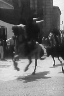 Course de taureaux provençale Trailer