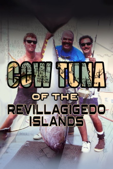Cow Tuna at the Revillagigedo Islands Trailer
