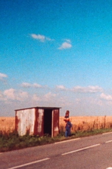 Cowhide Trailer