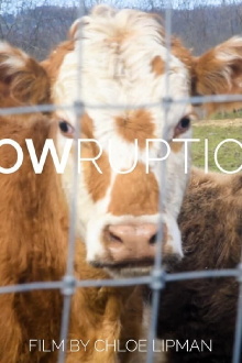 Cowruption Trailer