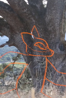 Coyote & Big Buff Trailer