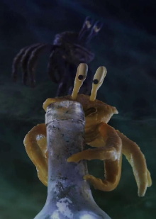 Crab Trailer