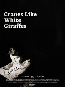 Cranes Like White Giraffes Trailer