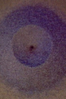 Crater Trailer