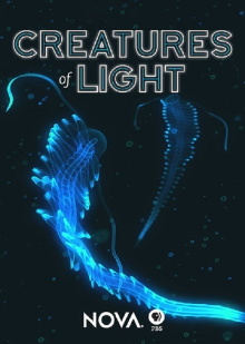 Creatures of Light Trailer