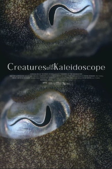 Creatures of the Kaleidoscope Trailer