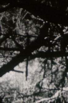 Crépuscule aux Aresquiers Trailer