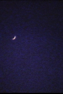 Crescent Trailer