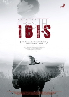 Crested Ibis Trailer