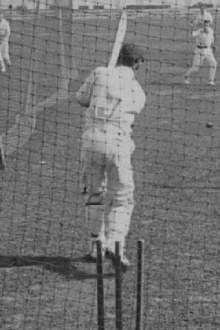 Cricket Again! Trailer
