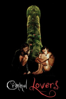 Criminal Lovers Trailer