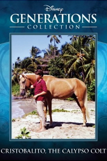Cristobalito, the Calypso Colt Trailer