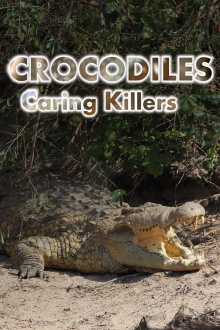 Crocodiles: Caring Killers Trailer