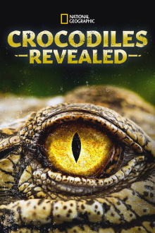Crocodiles Revealed Trailer