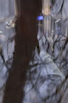 Crossing Paths Trailer