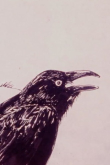 Crow Trailer