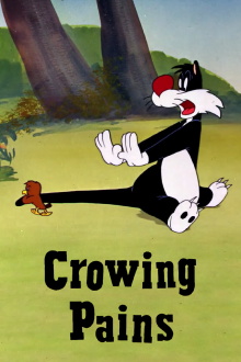 Crowing Pains Trailer