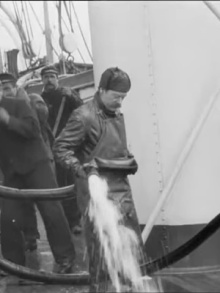 Cunard Vessel at Liverpool Trailer