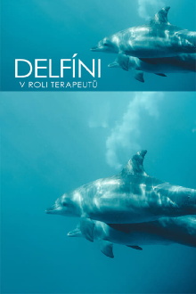 Curaçao, des dauphins thérapeutes Trailer