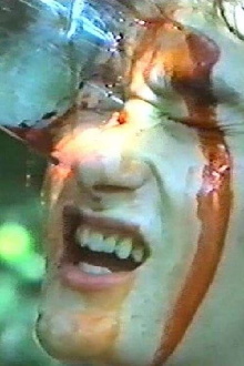 Cursed Woods Trailer