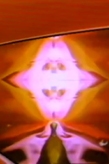 Curtain Trip Trailer