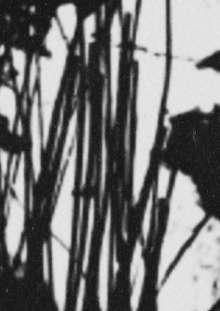 Cut-Off Movie Trailer