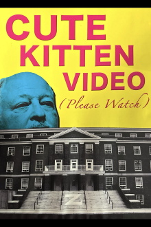 Cute Kitten Video (Please Watch) Trailer