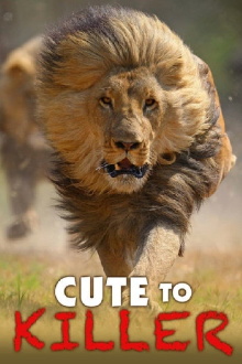 Cute to Killer Trailer